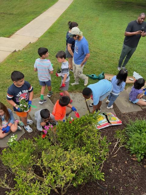 Trips and Dips Summer 2026